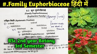 Family Euphorbiaceae in Hindi  BSc 2nd year Botany Third Semester [upl. by Anavas]