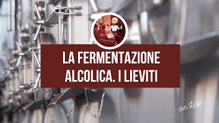 La fermentazione alcolica I lieviti [upl. by Luci351]