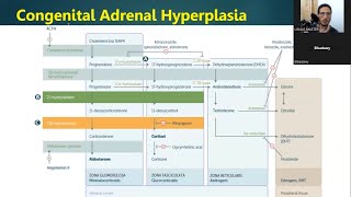 شرح أصعب موضوع في ال Endocrine  Congenital Adrenal Hyperplasia USMLE [upl. by Olocin]