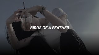 birds of a feather  billie eilish slowed  reverb [upl. by Oaht947]