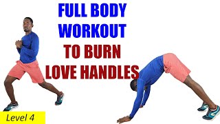 FULL BODY WORKOUT to Burn Love Handles in 20 Minutes [upl. by Marja979]