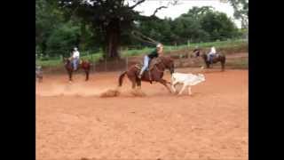 Treino de laço de bezerro Fazenda SJP [upl. by Aivyls]