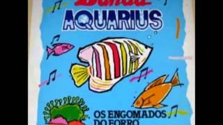 Forró Banda Aquarius  Ao Vivo I [upl. by Laural]