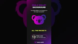 Koala Wallets Big Plans What’s Coming Next 🐨🚀 [upl. by Llemhar]