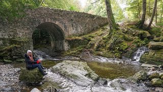 Tollymore Forest Park Shimna River Trail Spring Summer Autumn [upl. by Ahtelra]