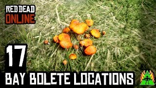 Red Dead Redemption 2 ONLINE  BAY BOLETE LOCATIONS [upl. by Goren]