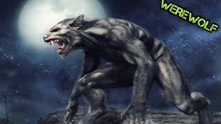 Lihat Pria Ini Berubah Menjadi Srigala saat bulan purnama werewolf srigala [upl. by Heidt75]