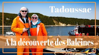 9 Tadoussac le domaine des Baleines [upl. by Audsley104]