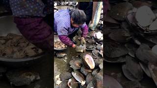 How do Vietnamese earn millions from oysters [upl. by Anital690]