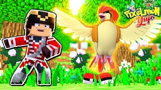 MON MAGNIFIQUE ROUCOUPS   PIXELMON 04 [upl. by Nylauqcaj]