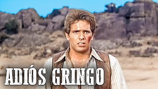 Adiós Gringo  Giuliano Gemma  Classic Western [upl. by Aikemit]