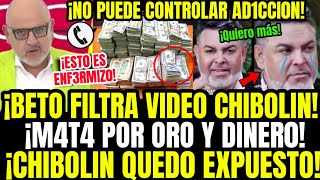 SE VOLVIÓ LOCO BETO REVIENTA VIDEO DE CHIBOLIN INSACIABLE EXIGIENDO DESESPERADO ORO Y DINERO¡BOMB4 [upl. by Eillime]