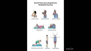 Brachial plexus injury Rehabilitation exercises [upl. by Annayoj]