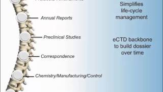 eCTD Submissions Electronic Common Technical Document with CTI [upl. by Korff]