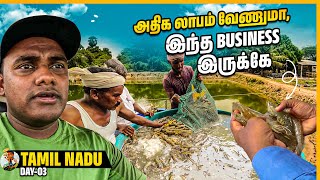 4 மாசம் business ல அதிக லாபம் பாக்கலாம் 😲  60000 கிலோ இறால் வளர்ப்பு  Tamil Trekker [upl. by Shum]