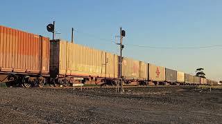 7AM9 SCT intermodal and steel empty to Laverton 1730 10824 Dooen VIC [upl. by Oap300]