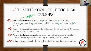 GU PATHOLOGY TESTICULAR TUMORS PART 1 [upl. by Yantruoc]