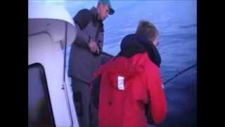 lofoten seafishing norway lofoten zeevissen noorwegen part 1 [upl. by Alliuqat]