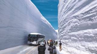 一年一度的立山黑部雪壁大谷絕景 YOKOSO Japan Tour Video for HK [upl. by Ahsiekam508]