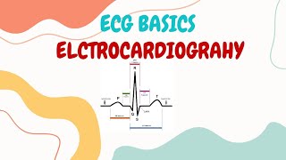 Electrocardiography  ECG  ECG Interpretation made Easy  ECG Leads Placement  ECG Procedure [upl. by Regazzi]