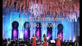 Palladio electric string trio or quartet for corporate functions Live in Jakarta [upl. by Piefer659]