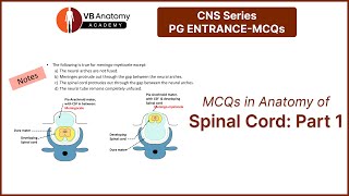 MCQ in Anatomy of Spinal cord Part 1 [upl. by Poll]