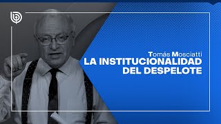 Comentario de Tomás Mosciatti La institucionalidad del despelote [upl. by Elfreda785]