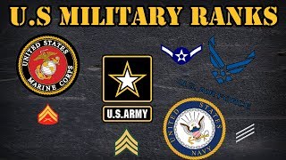 Comparing the different ranks in the US Military [upl. by Enelyt764]