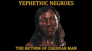 THE TORAH AND PATRILINEAL DESCENT YEPHETHIC NEGROES [upl. by Ahter]