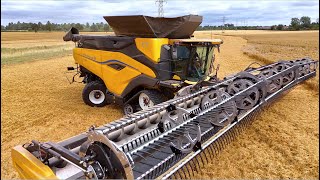 Wheat Harvesting in the UK  New Holland CR11 w 50ft  152m Flex Header  The New Mega Combine [upl. by Raycher93]