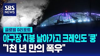 야구장 지붕 날아가고 크레인도 쿵…quot1천 년 만의 폭우quot  SBS  D리포트 [upl. by Prouty]