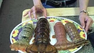 Four Types of Lobster Tails in the Lobster Gram Test Kitchen [upl. by Maddock833]