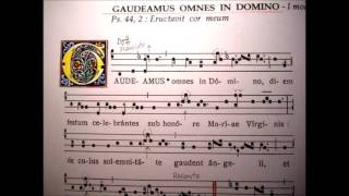 Gaudeamus Omnes in Domino  Introit k sviatku Ružencovej Panne Márii [upl. by Ainirtak]