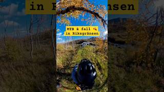 MTB and fall colors in Riksgränsen [upl. by Daven]