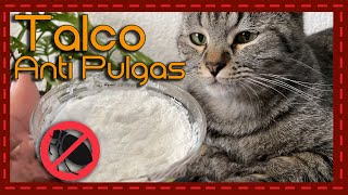 Adiós a las pulgas Talco para baño en seco casero y económico para gatos [upl. by Agueda412]