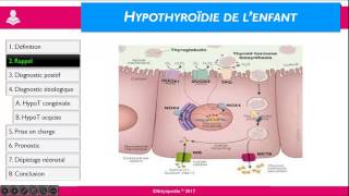 Hypothyroïdie de l’enfant [upl. by Quince15]