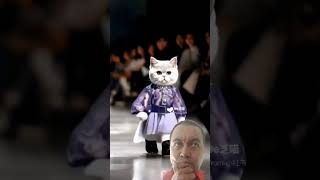 Kucing Kalian Bisa Secantik Ini videolucu videoviral kucinglucu shorts [upl. by Cuhp]