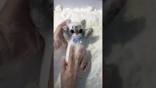 cats sticky toy cast in foam shortsvideo [upl. by Waldack]