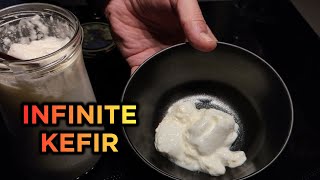 How to make KEFIR every day WITHOUT GRAINS  from store bought milk  asmr [upl. by Cale]