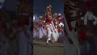 The Kandy Esala Perahera in Sri Lanka is a captivating festival held in the hill capital of Kandy [upl. by Nimref]