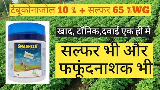 Exel swadhin fungicide contact amp systematic fungicide use in hindi viral [upl. by Law166]