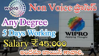 Wipro Recruitment 2024  Any Degree  Jobs for Freshers  Jobs in Hyderabad  M Tube Jobs [upl. by Spurgeon]