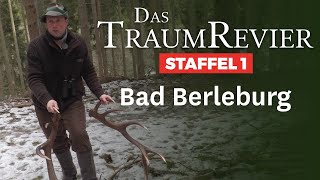 Frühjahr im TraumRevier  Bad Berleburg  JÄGER TraumRevier [upl. by Des616]