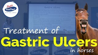 Treatment of Gastric Ulcers in horses [upl. by Amary319]