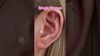 6 Types of Tragus Piercings [upl. by Oraneg]