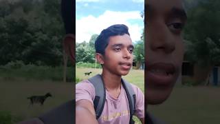 আজকে গেলাম একটা মন্দিরে MINI VLOG106 Bengali minivlogs shorts [upl. by Weissman780]