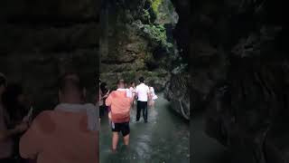 Robbers cave Dehradun nature music NatureloverDrsachinsharma robberscave [upl. by Reteid]