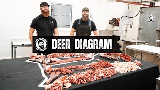 A Visual Guide to the Cuts of Deer Learn Where Every Cut Comes From  By The Bearded Butchers [upl. by Ubald]