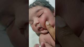 floppy chick viralvideo cutebaby littleprinces [upl. by Ellivnarg]