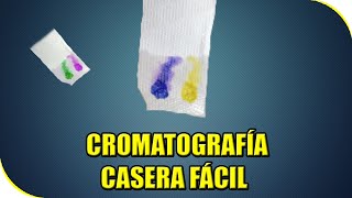 COMO HACER CROMATOGRAFÍA CASERA  EXPERIMENTOS CASEROS [upl. by Eohce]